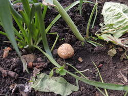 DSCN2672.JPG