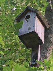 IMG20260607204040.thumb.jpg.84174f4b3d226fc33107abaa2b16f729.jpg