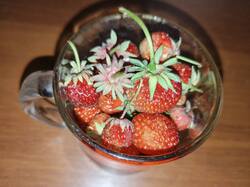 IMG20260609211939.thumb.jpg.f4cd83c8ece5a6dbbc7d447343fdffc7.jpg