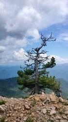 IMG20260615125434.thumb.jpg.b9a0338fce01c36bf24da8ea7dd05a4e.jpg