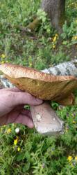 IMG20260625134438.jpg