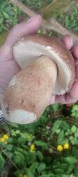 IMG20260625141248.jpg