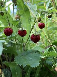 IMG_0724.jpeg