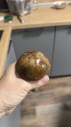 IMG_1869.jpeg