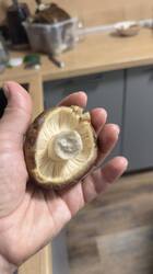IMG_1876.jpeg
