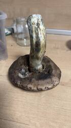 IMG_1877.jpeg