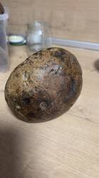 IMG_1878.jpeg