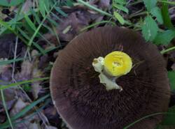 IMG_20260531_072326_gcam_3.2.thumb.jpg.6d68a7cb32a355e7c6e9378f993b0e73.jpg