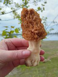 IMG_20260531_135509.jpg