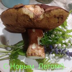 IMG_20260601_184031.jpg