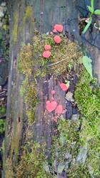 IMG_20260605_182322.jpg