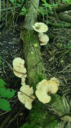 IMG_20260605_182647.jpg