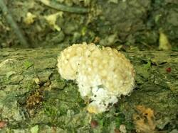 IMG_20260607_114821.jpg