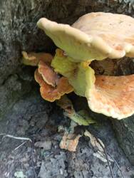 IMG_20260607_122812.jpg