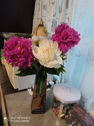 IMG_20260610_202727.jpg