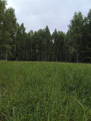 IMG_20260614_151655.jpg