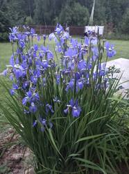 IMG_20260615_212454.jpg