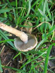 IMG_20260616_173442.thumb.jpg.20a57b1b7bd22620f36f90c58a8784d6.jpg