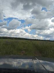 IMG_20260617_100236.jpg