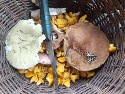 IMG_20260619_163516_380.jpg