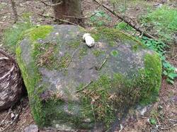 IMG_20260620_094646.thumb.jpg.ea82d9b43cf63b6e087d097e7532f6c1.jpg