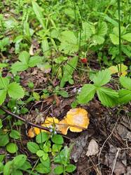 IMG_20260621_143143.jpg
