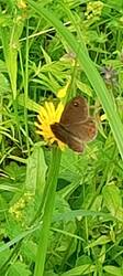 IMG_20260622_082454_823.thumb.jpg.aed2ee92d1c9695211ea8f180f5b8543.jpg