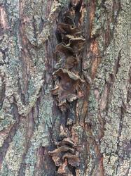 IMG_20260624_201040.thumb.jpg.f1f6b21c5a4decce8d878eb7c358e7f4.jpg