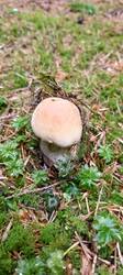 IMG_20260625_113806_319.thumb.jpg.f23c7dce1b8833de86b9499c925bb214.jpg