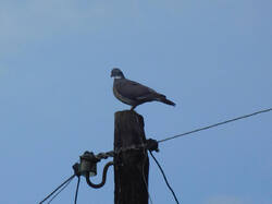 IMG_20260626_201229.jpg