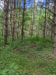 IMG_20260628_115849.jpg