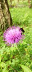 IMG_20260629_095624_387.thumb.jpg.1417a570266079f2d4fef35c29304761.jpg