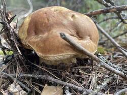 IMG_3886.jpeg