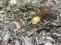 IMG_3899.jpeg