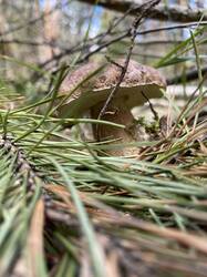 IMG_3964.jpeg