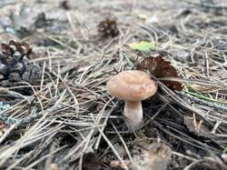 IMG_3969.jpeg
