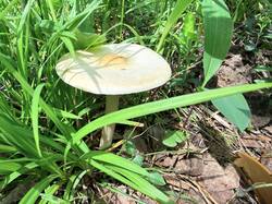 IMG_4765.thumb.JPEG.ccc046a5e9dc7a0493c4e1341efa1723.JPEG