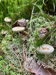 IMG_4822.jpeg