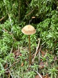 IMG_4829.jpeg