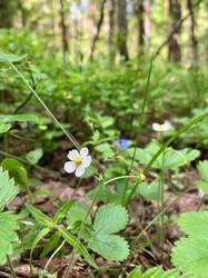 IMG_4839.jpeg