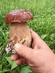 IMG_5148.thumb.JPEG.f4670fdf3d598d0a8d69857450764b07.JPEG