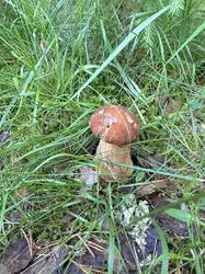 IMG_5286.thumb.JPEG.baf3e9f856c66b5f672002aa905c50a9.JPEG