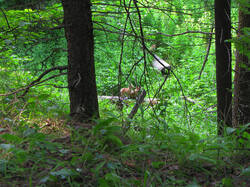 IMG_6278.jpg