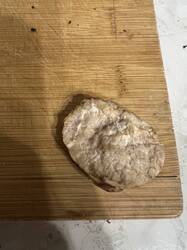 IMG_7230.jpeg