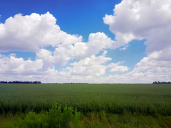 Image.thumb.png.343142c438dc1941fca2c5c92db1fc16.png