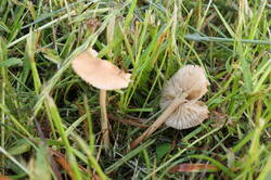 PANA7399.thumb.JPG.d369048dfb99a803de3f07bd769e6685.JPG