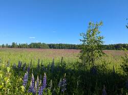 PXL_20260606_131040288.jpg