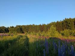 PXL_20260612_171710111.jpg