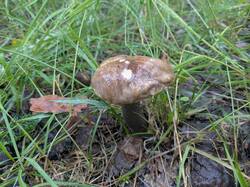 PXL_20260618_151343056.jpg