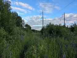 PXL_20260625_163746389.jpg